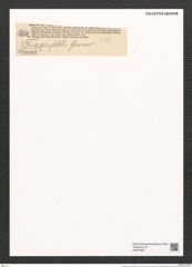 Climaconeis frauenfeldii Grun. (de-Toni-Nr.: Genus 94, Species 3061) Zeichnungen Sammlung Grunow (NHMW-BOT-W0374897)